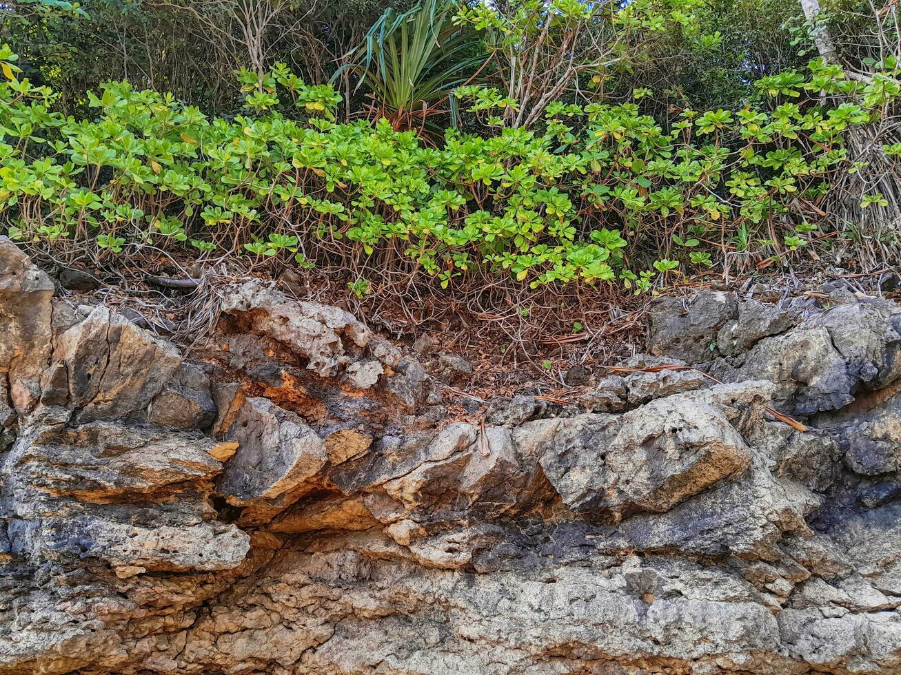 rots landschap en zee zand in de kust- foto