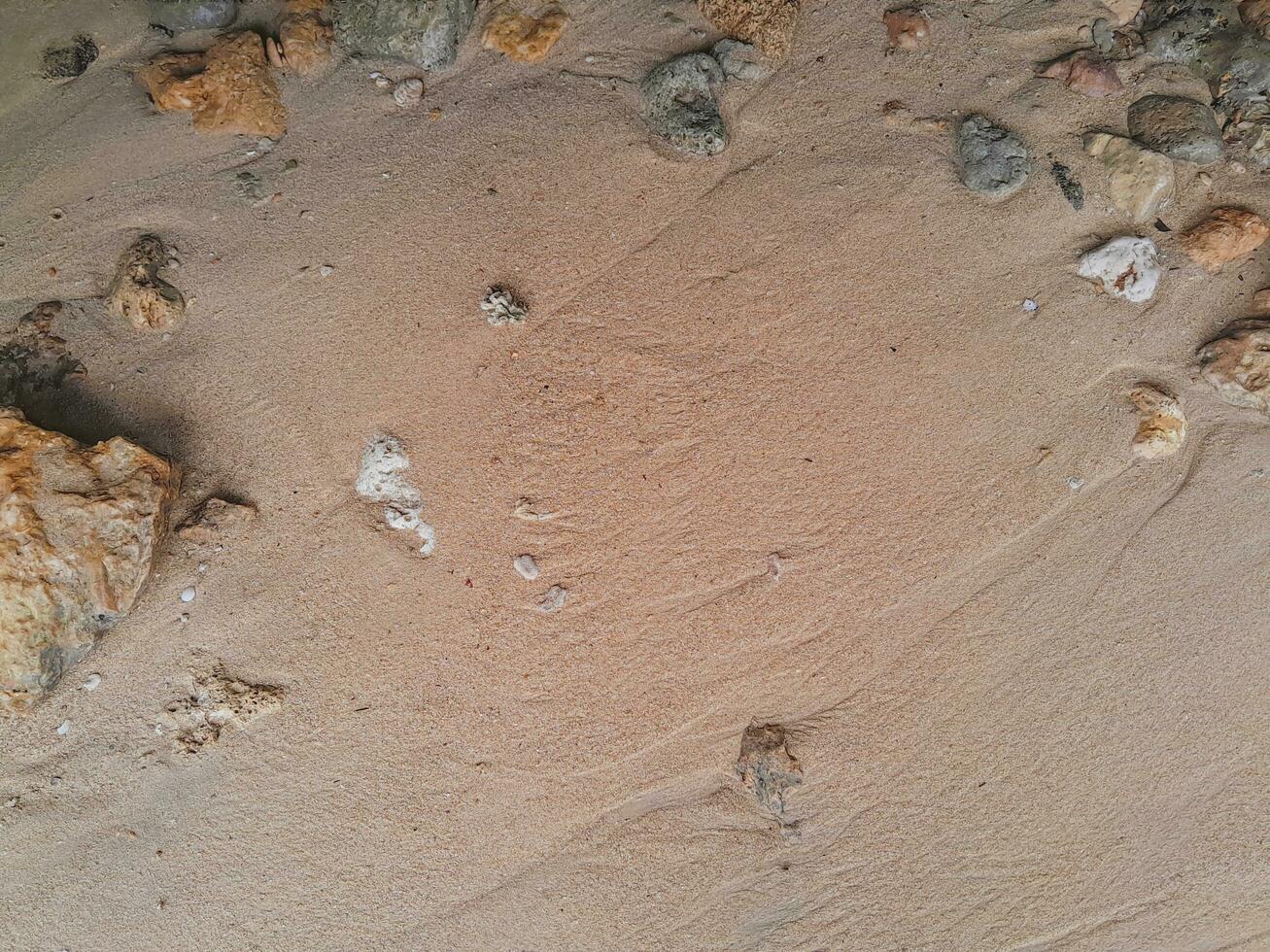 koraal steen Aan de kust Bij oosten- Java strand foto