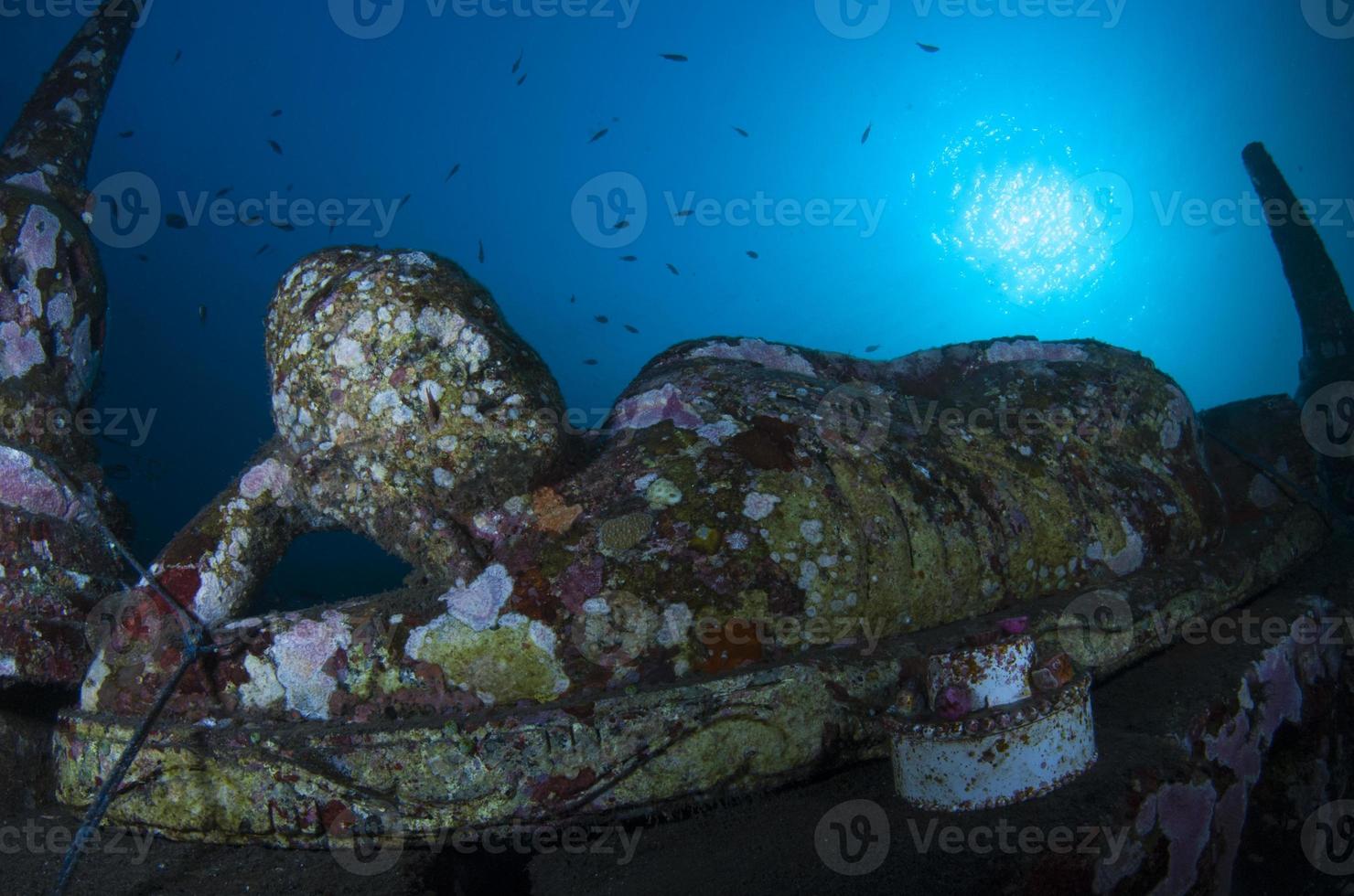onderwater kunstmatig rif in bali. foto