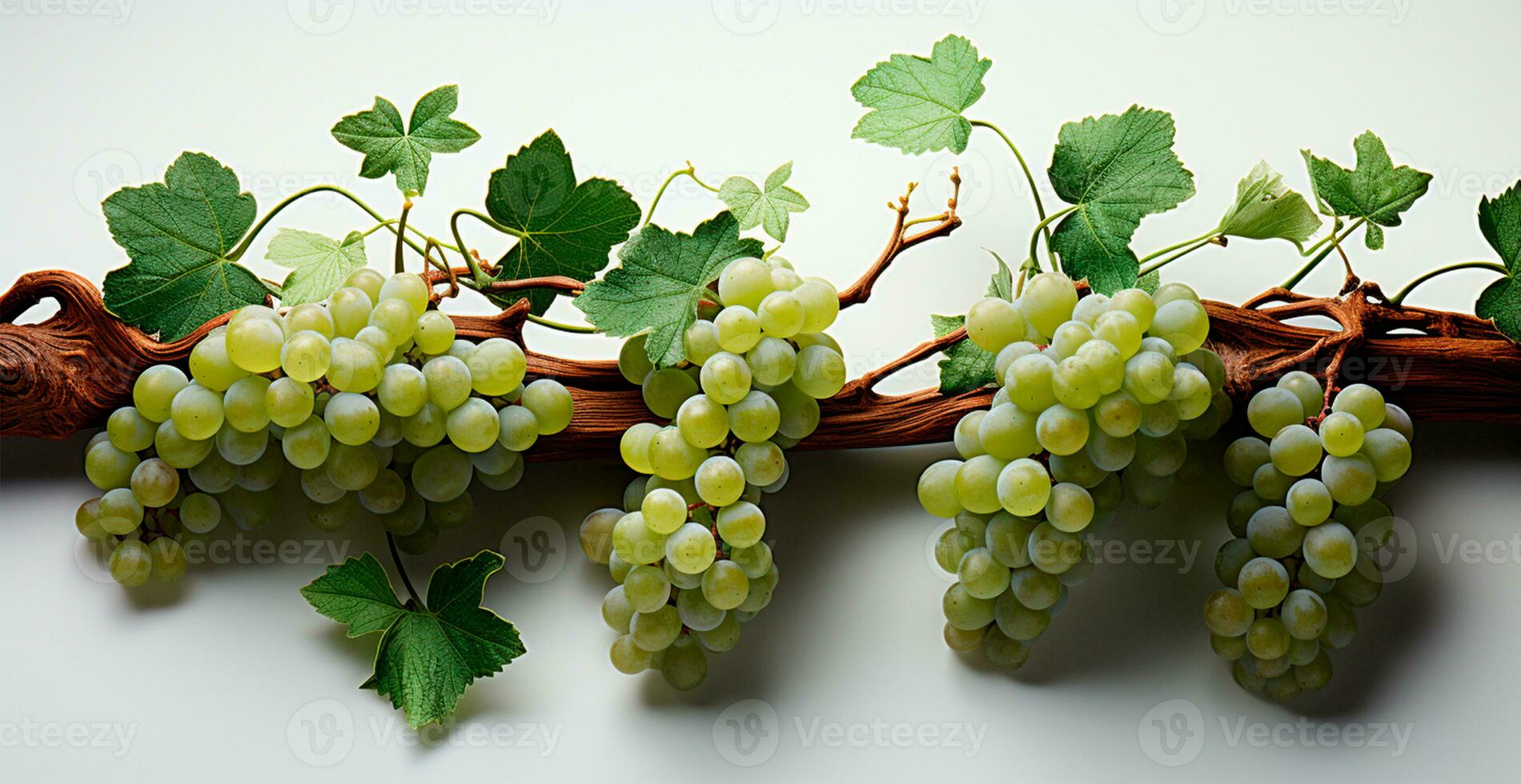 licht druiven Aan een wit achtergrond, wijnstok - ai gegenereerd beeld foto