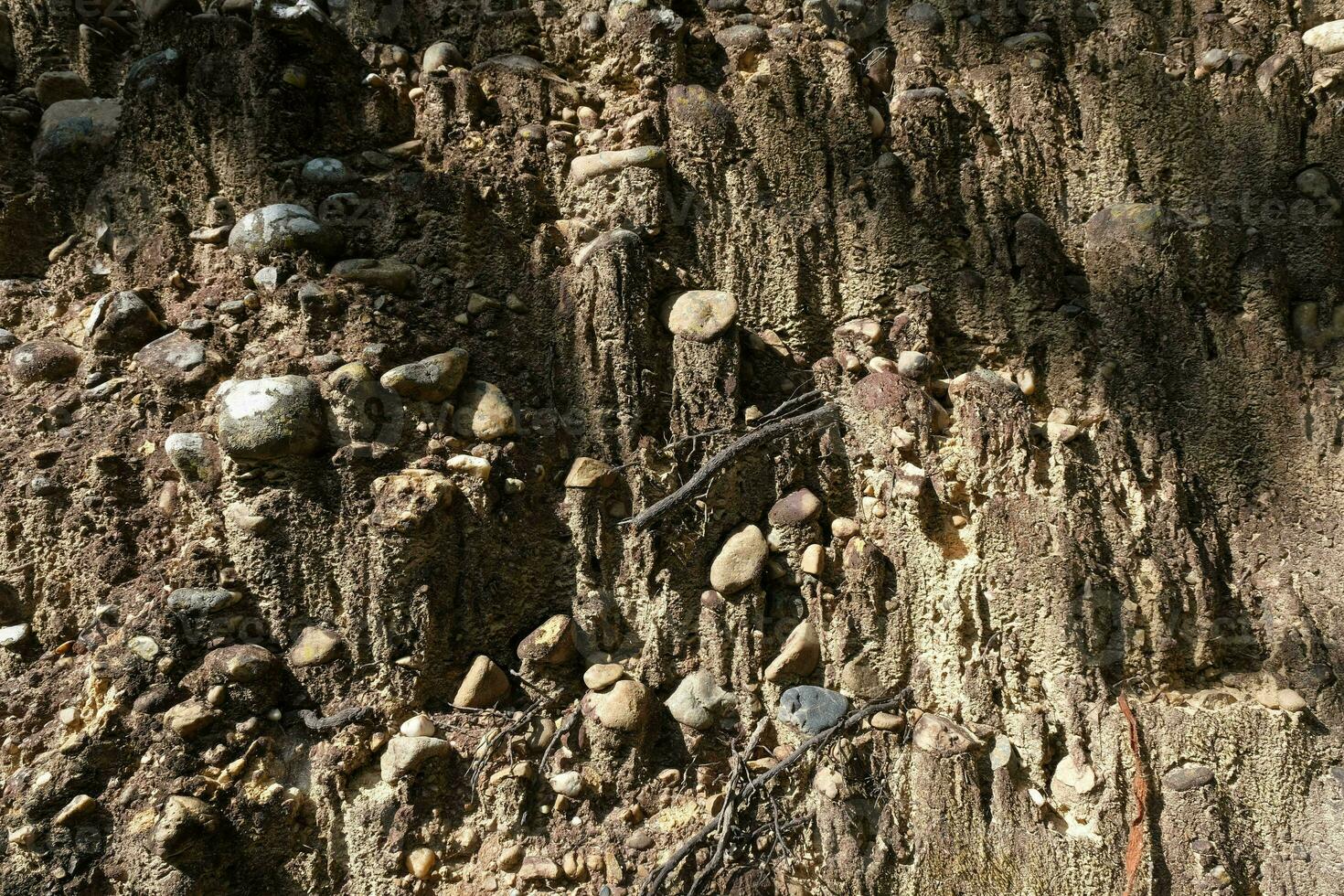 dichtbij omhoog van de klif steen oppervlak, een natuurlijk fenomeen veroorzaakt door de erosie van de bezinksel dat stromen langs de waterloop, vormen een sedimentair laag met afgeronde rivier- rotsen ingebed in het. foto