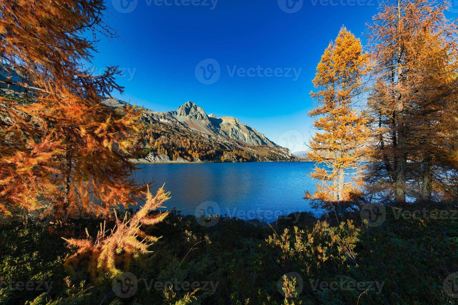 herfstkleuren in de vallei van zwitsers engadin foto