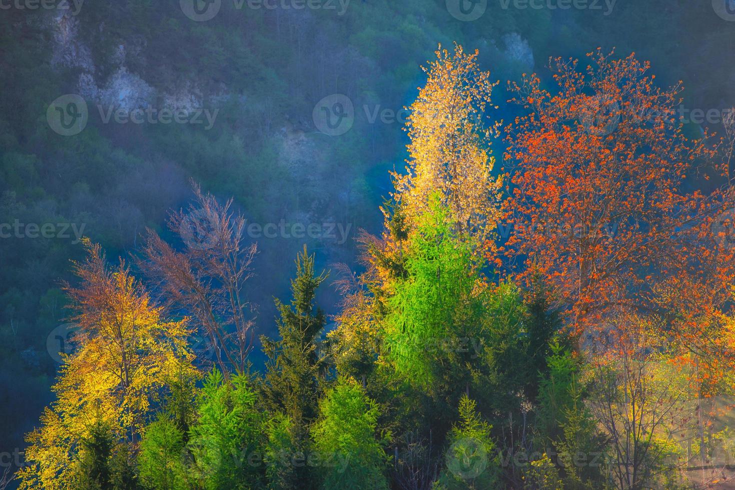 herfstkleuren op zwitserse alpen foto