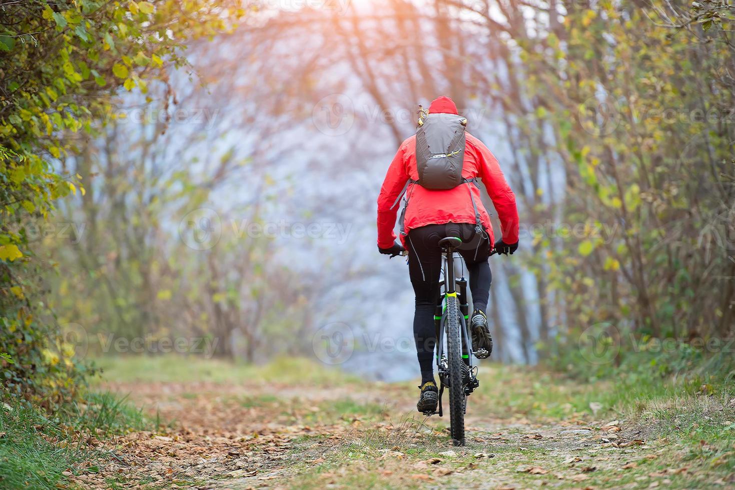 mountainbiken op straat in het bos foto