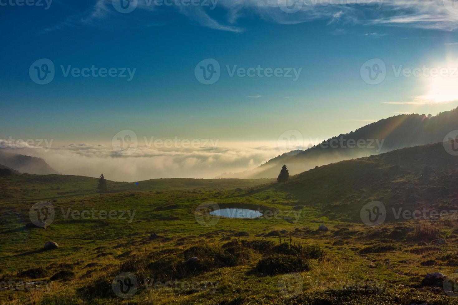 kleine plas water voor bergkoeien foto