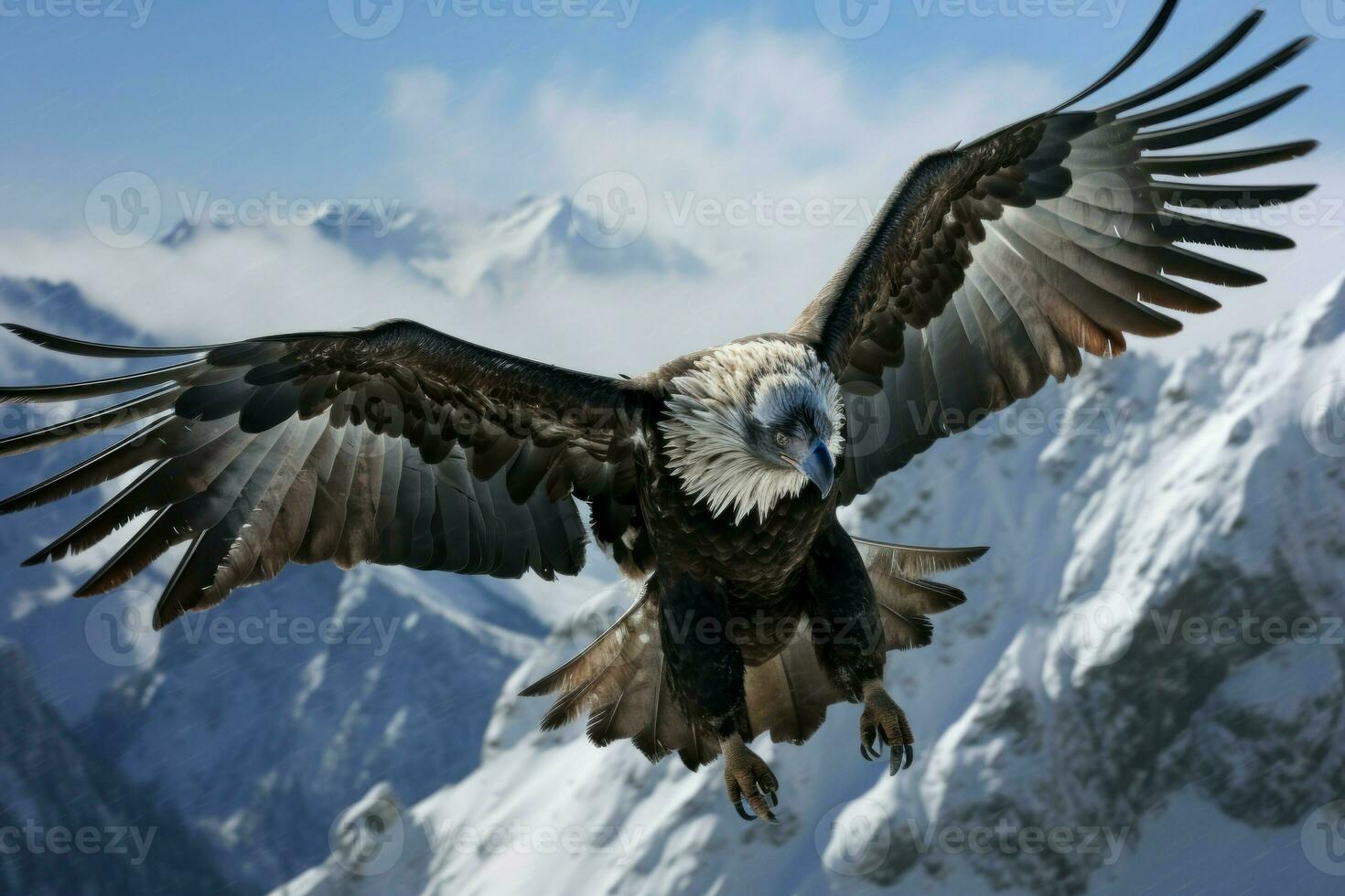 grote hoogte condor vliegend bergen. genereren ai foto