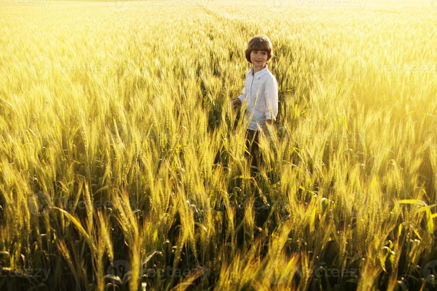 jongen in een wit overhemd tussen het tarweveld foto