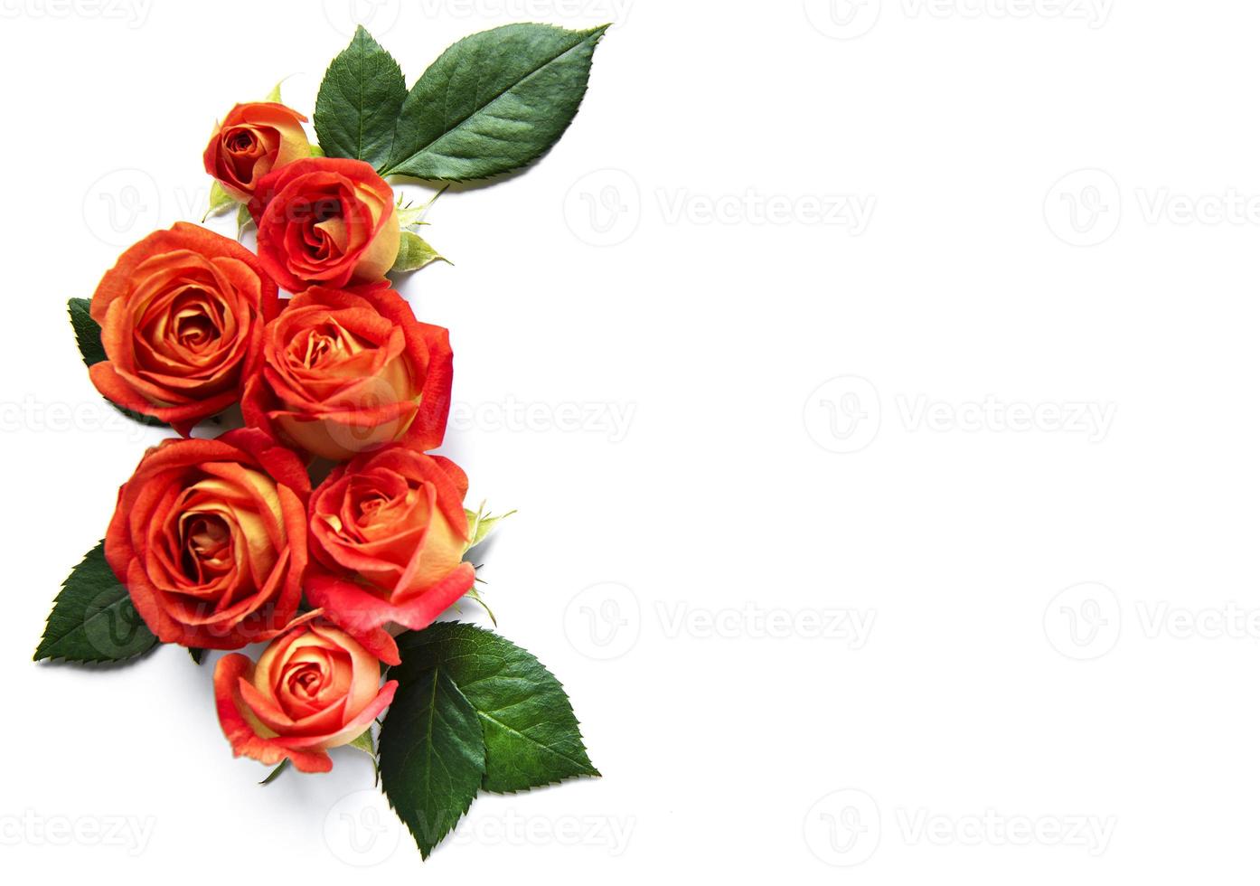 bloemen samenstelling. frame gemaakt van rode rozen foto