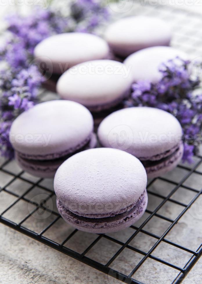 franse macarons met lavendelsmaak foto