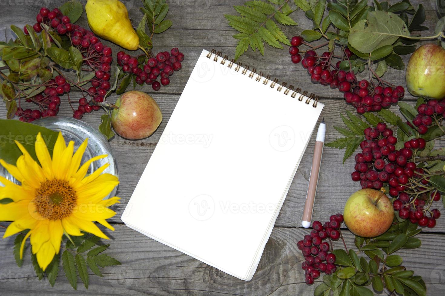 Kladblok met een blanco vel papier tekst. lijsterbes op een houten achtergrond foto