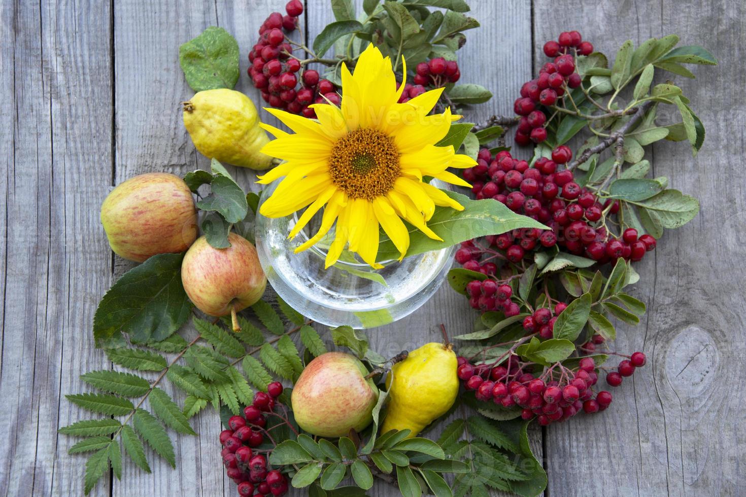 herfst natuurlijke samenstelling. foto