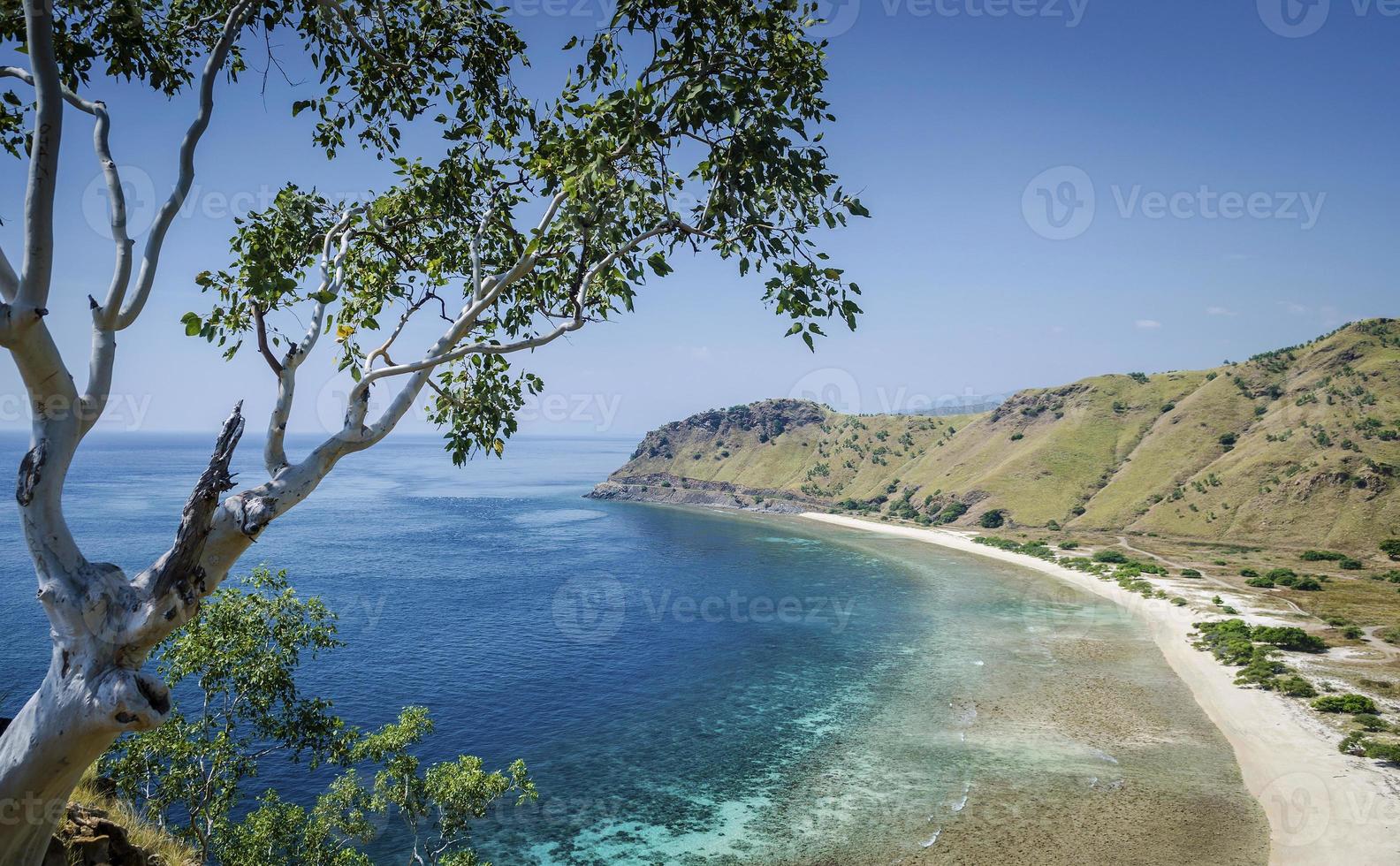 uitzicht op de kust en het strand in de buurt van dili in oost-timor leste van cristo rei hill monument foto