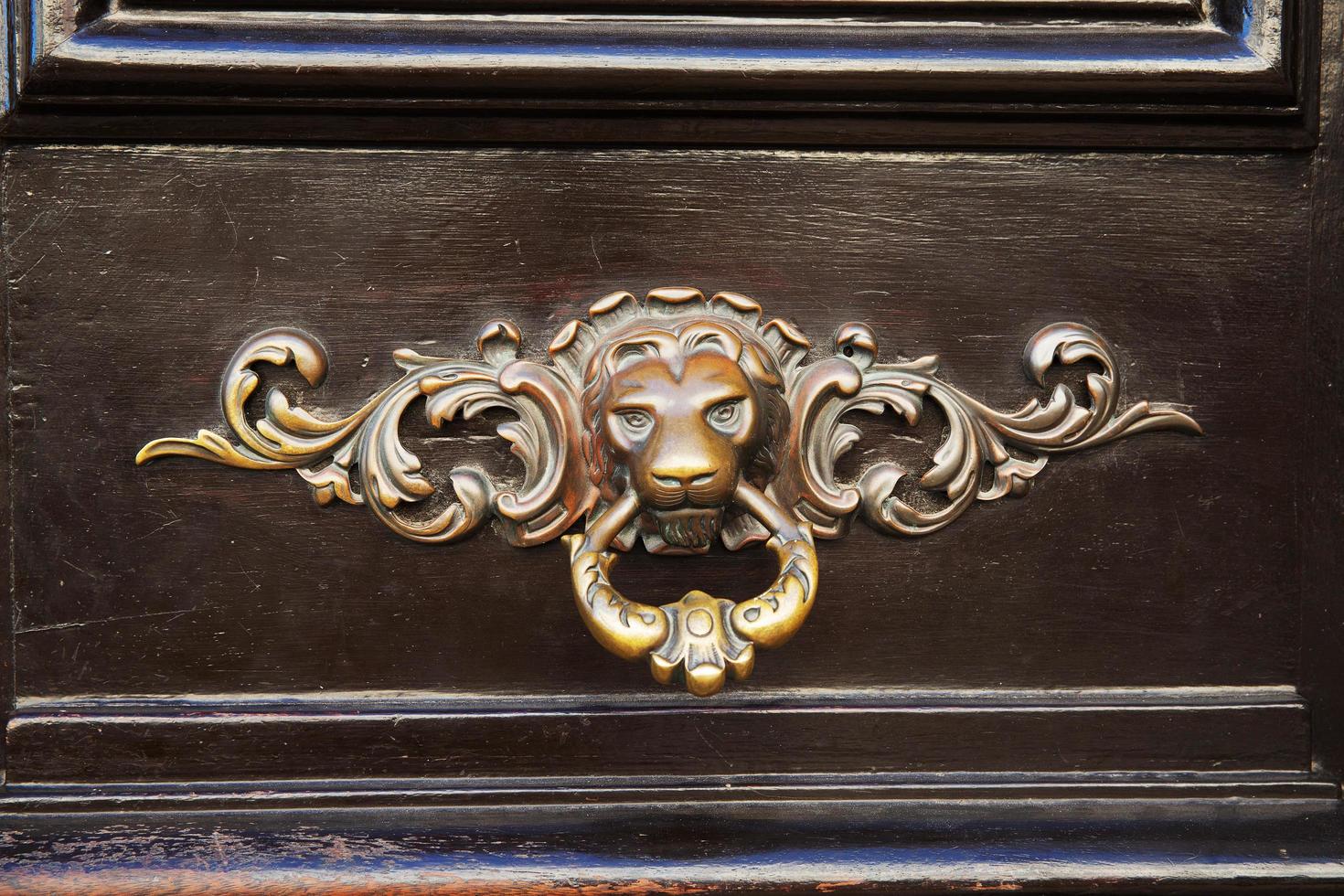 antieke deurknop in de vorm van een koperen leeuw foto
