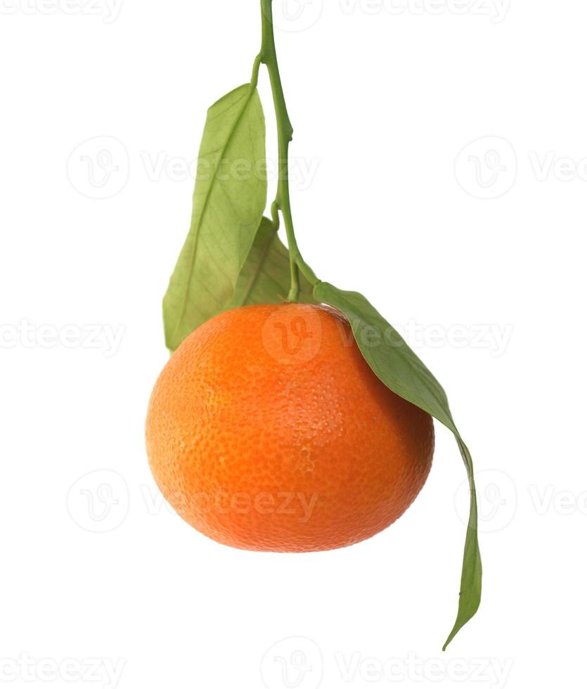 mandarijn fruit geïsoleerd foto