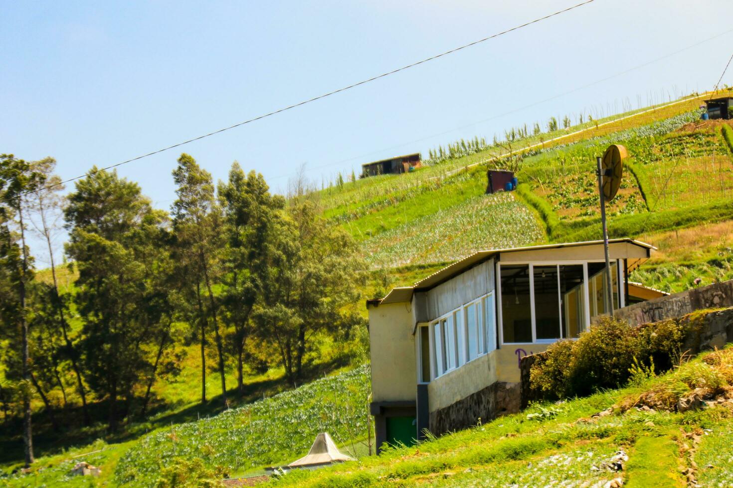 rijst- velden in de bergen met een terasiëren systeem foto