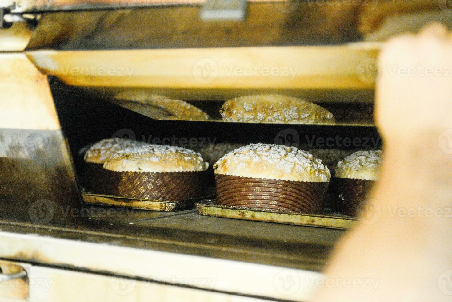 gebakje bakker ambachtelijk bakken klein groep van Italiaans panettone zoet brood typisch voor Kerstmis tijd foto