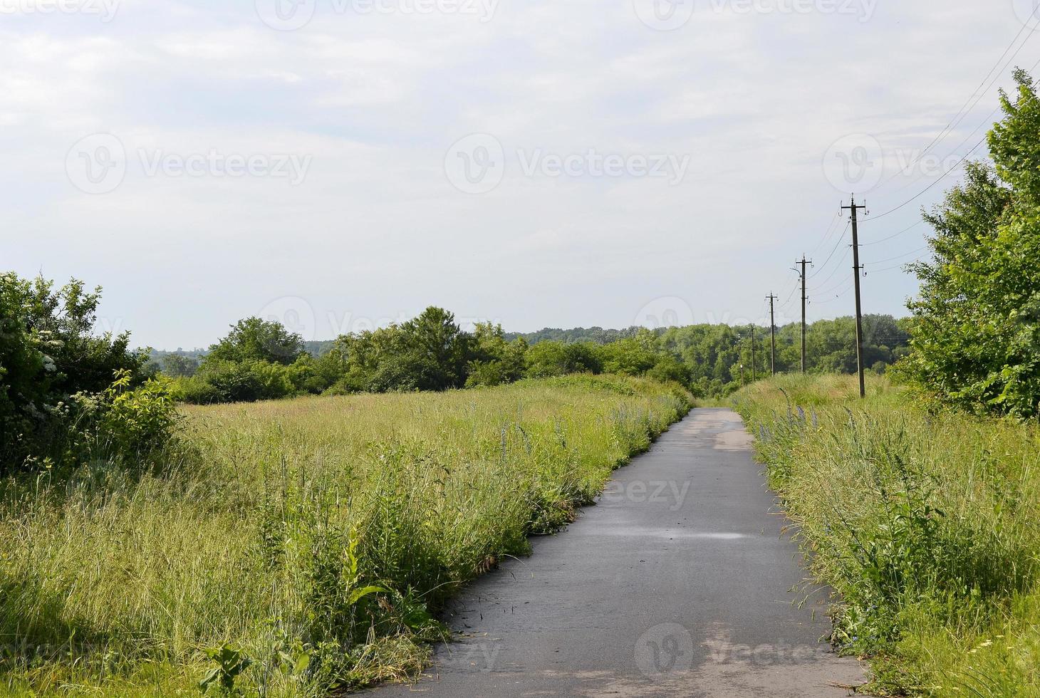 mooie lege asfaltweg op het platteland op gekleurde achtergrond foto