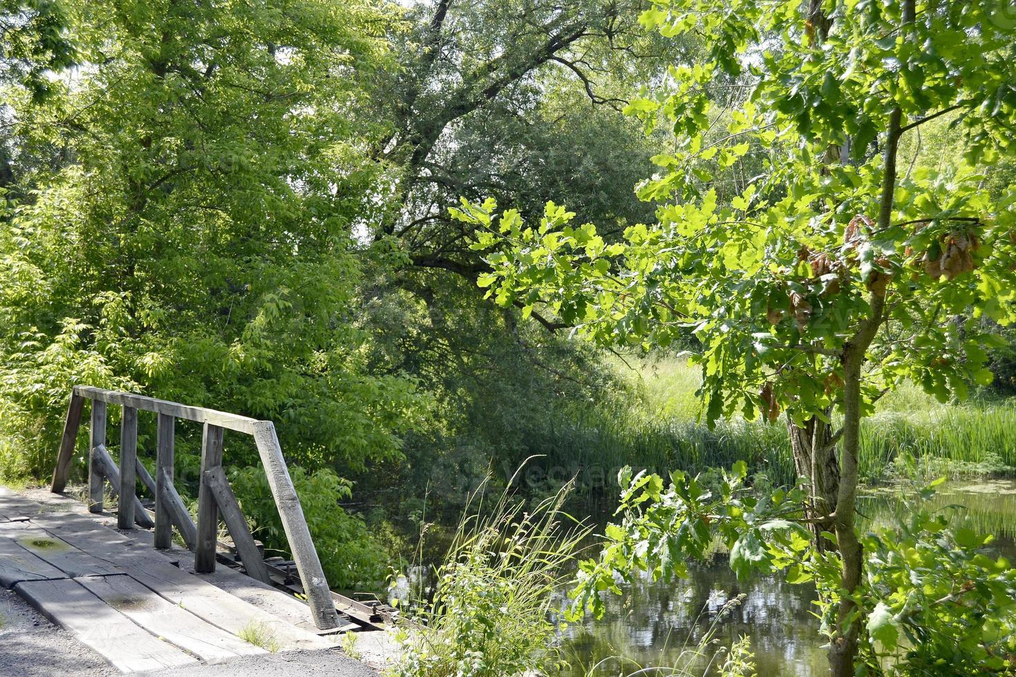 staande oude houten brug over rivier in gekleurde achtergrond foto