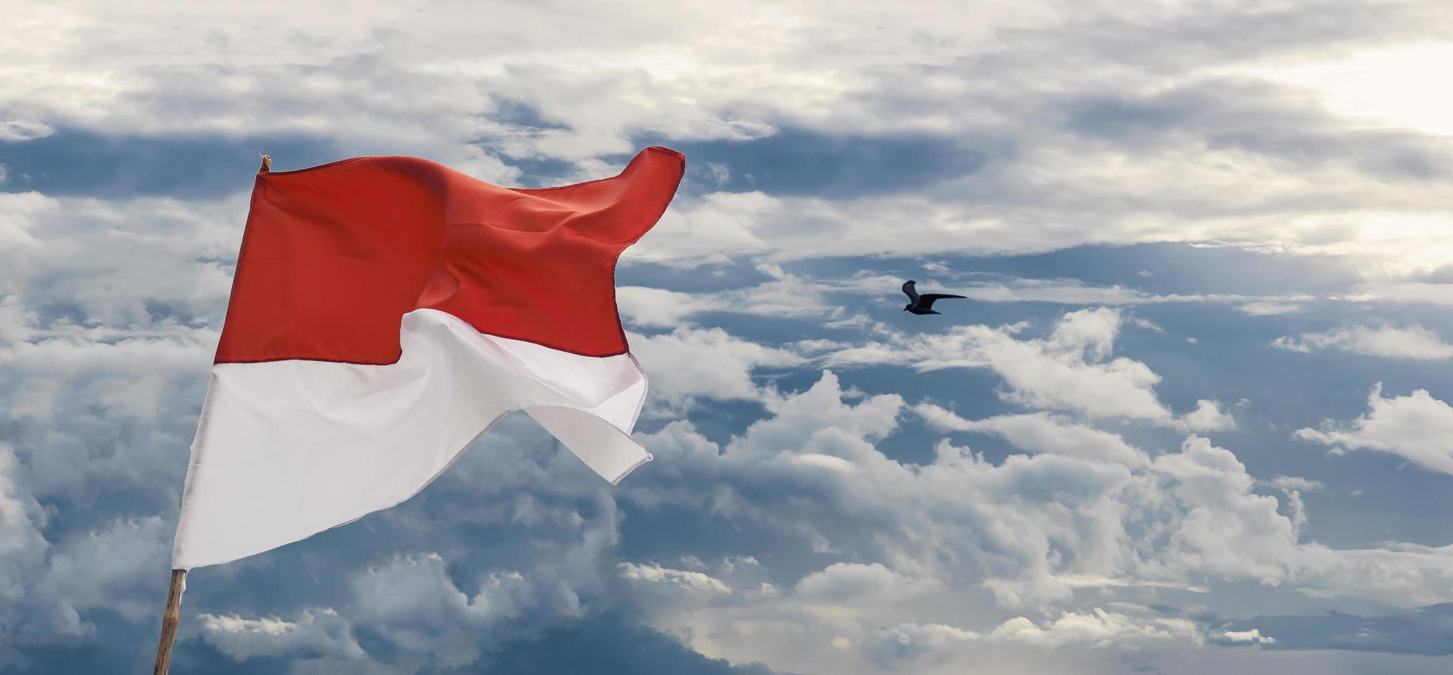 Indonesische nationale vlag op bewolkte blauwe hemelachtergrond met een zeemeeuw foto