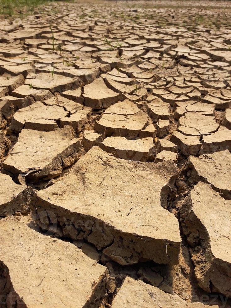 gebarsten aarde getextureerd foto