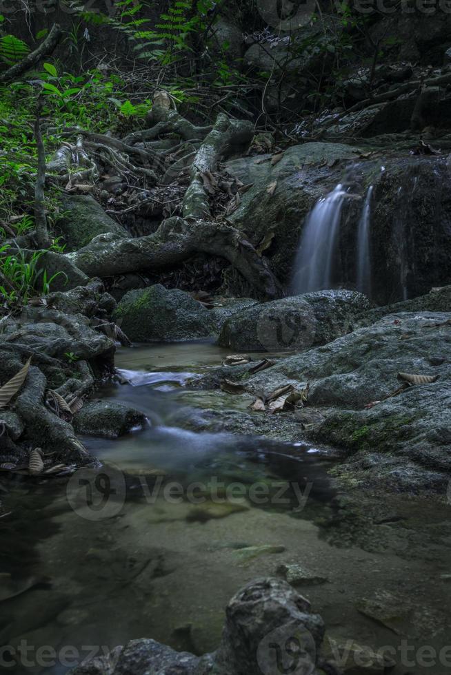 tropisch regenwoud waterval lange explosie foto