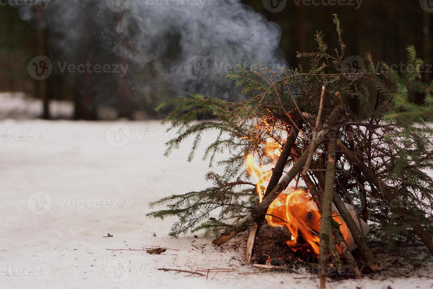 vreugdevuur van dennentakken in het winterbos foto