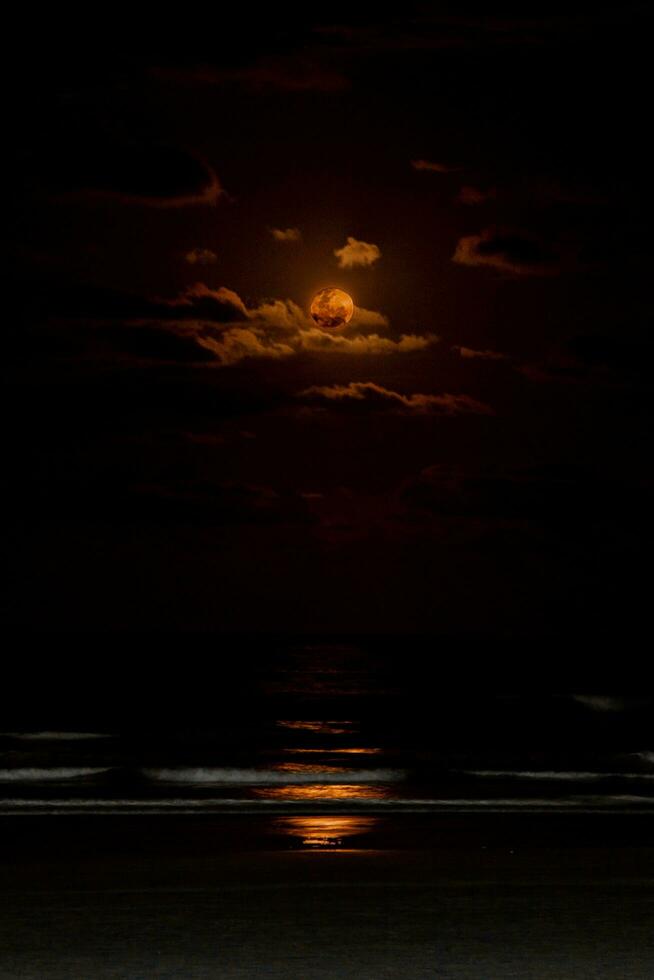 vol maan in de nacht lucht over- de zee met wolken en reflectie foto