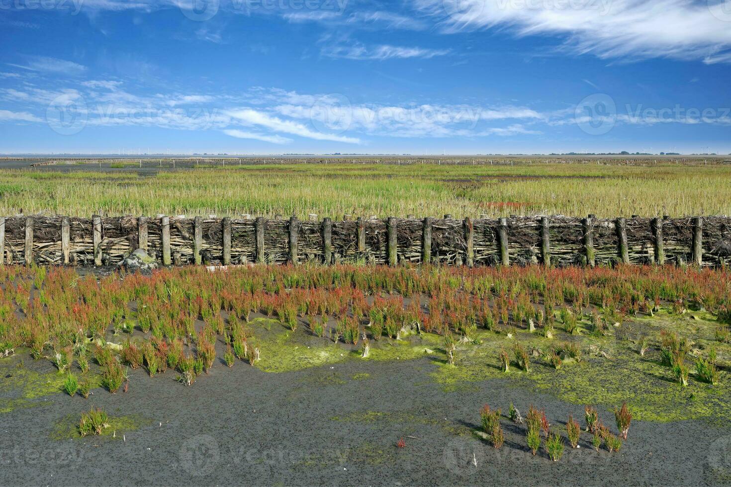 golfbreker voor land- terugwinning, noorden zee, noorden friesland en oosten- Friesland, Duitsland foto