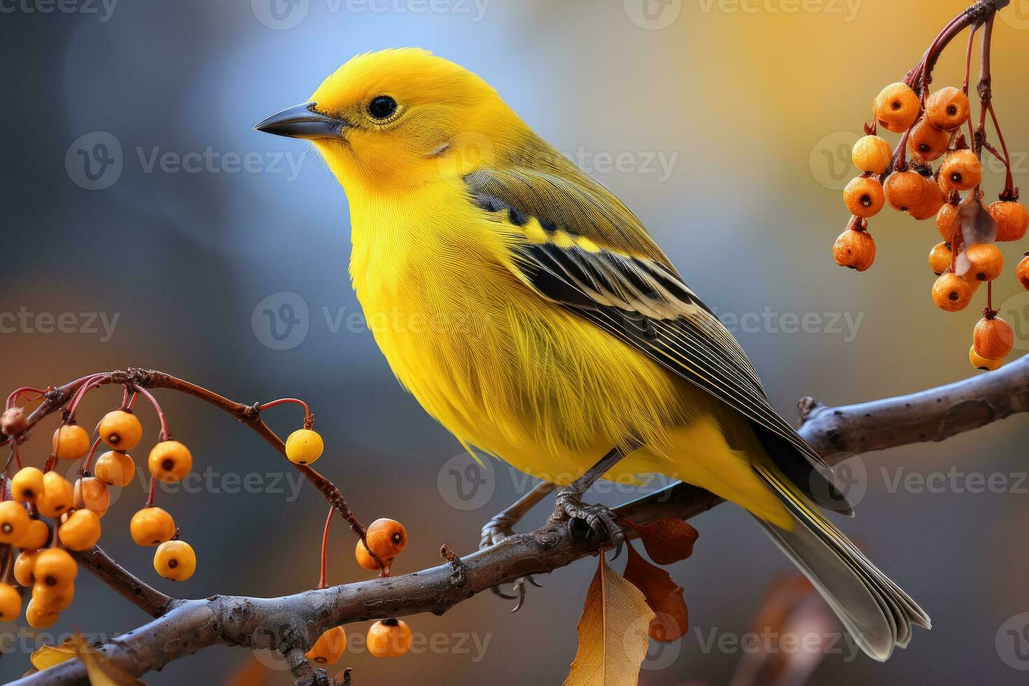 mooi geel en blauw vogel Aan een Afdeling van een bloeiende boom foto