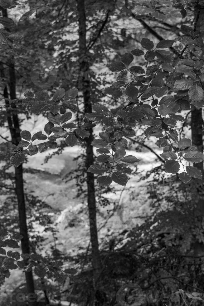 de oostenrijks Alpen in de buurt gosau foto