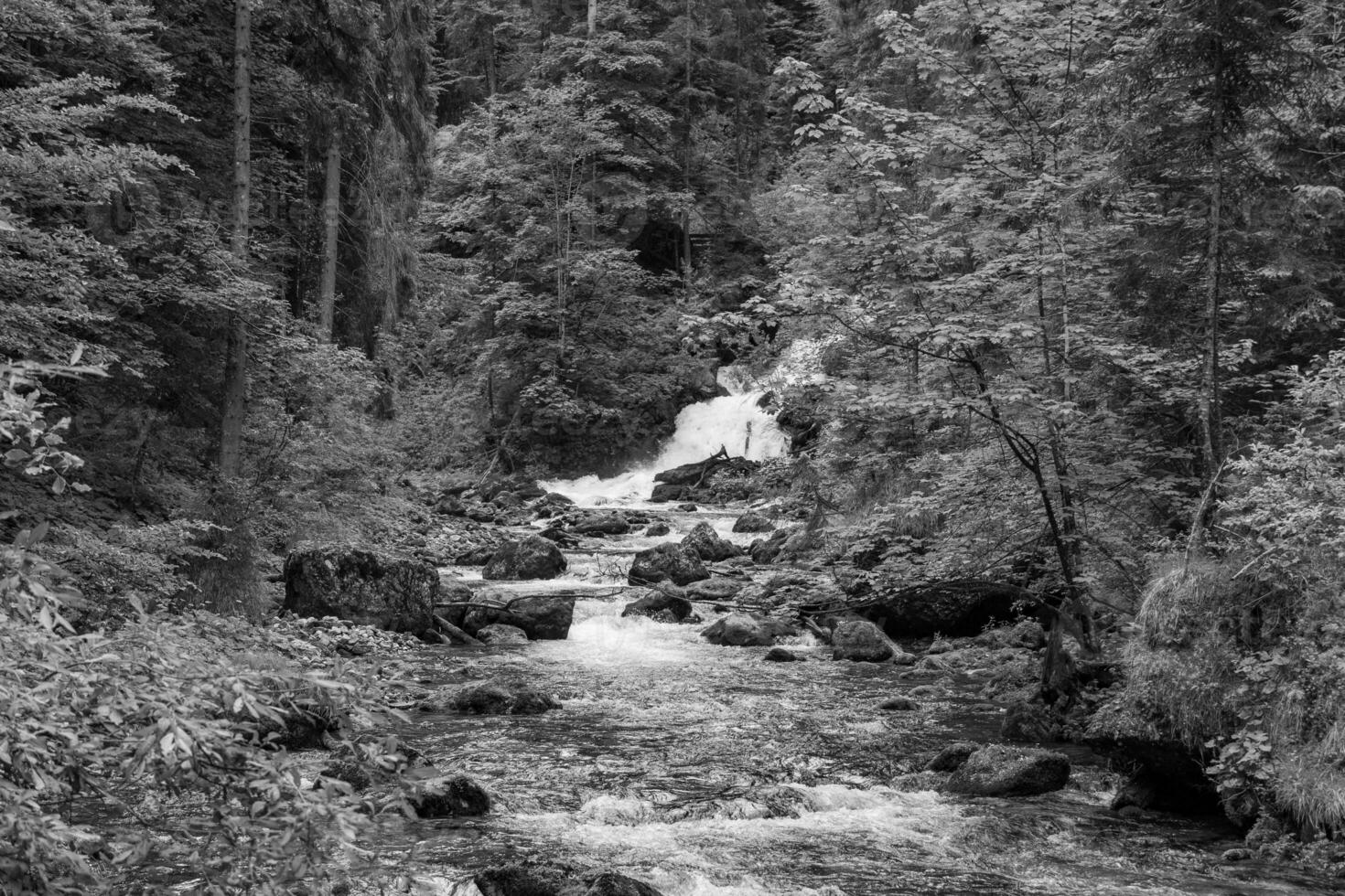 wandelen nesar gosau in Oostenrijk foto