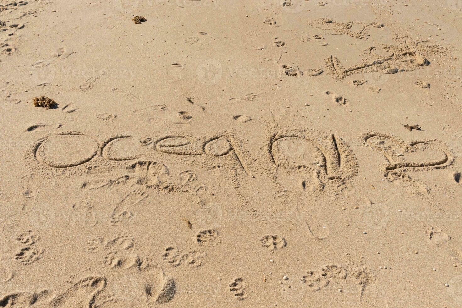 mooi bruin zand met schrijven geëtst in. de woord oceaan kan worden gezien geschreven ion de strand. voetafdrukken kan worden gezien allemaal in de omgeving van. foto