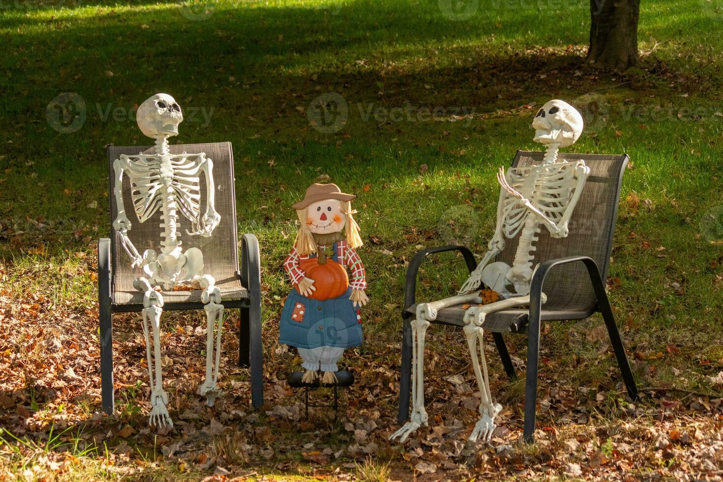 deze is halloween. deze skeletten hebben geweest zetten uit voor Scherm naar helpen versieren voor de spookachtig seizoen. de weinig vogelverschrikker in de centrum naar symboliseren herfst of de vallen seizoen. foto
