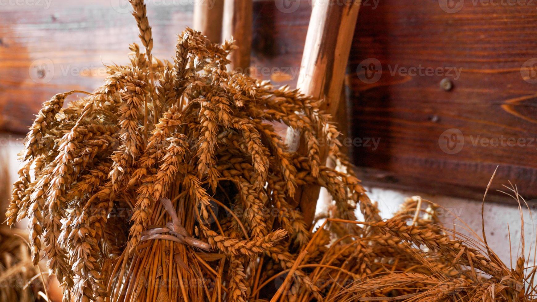 gouden oren van tarwe op een houten achtergrond. oren voor het maken van meel foto