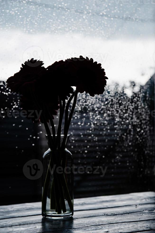 gerbera bloemen silhouet tegen raam foto