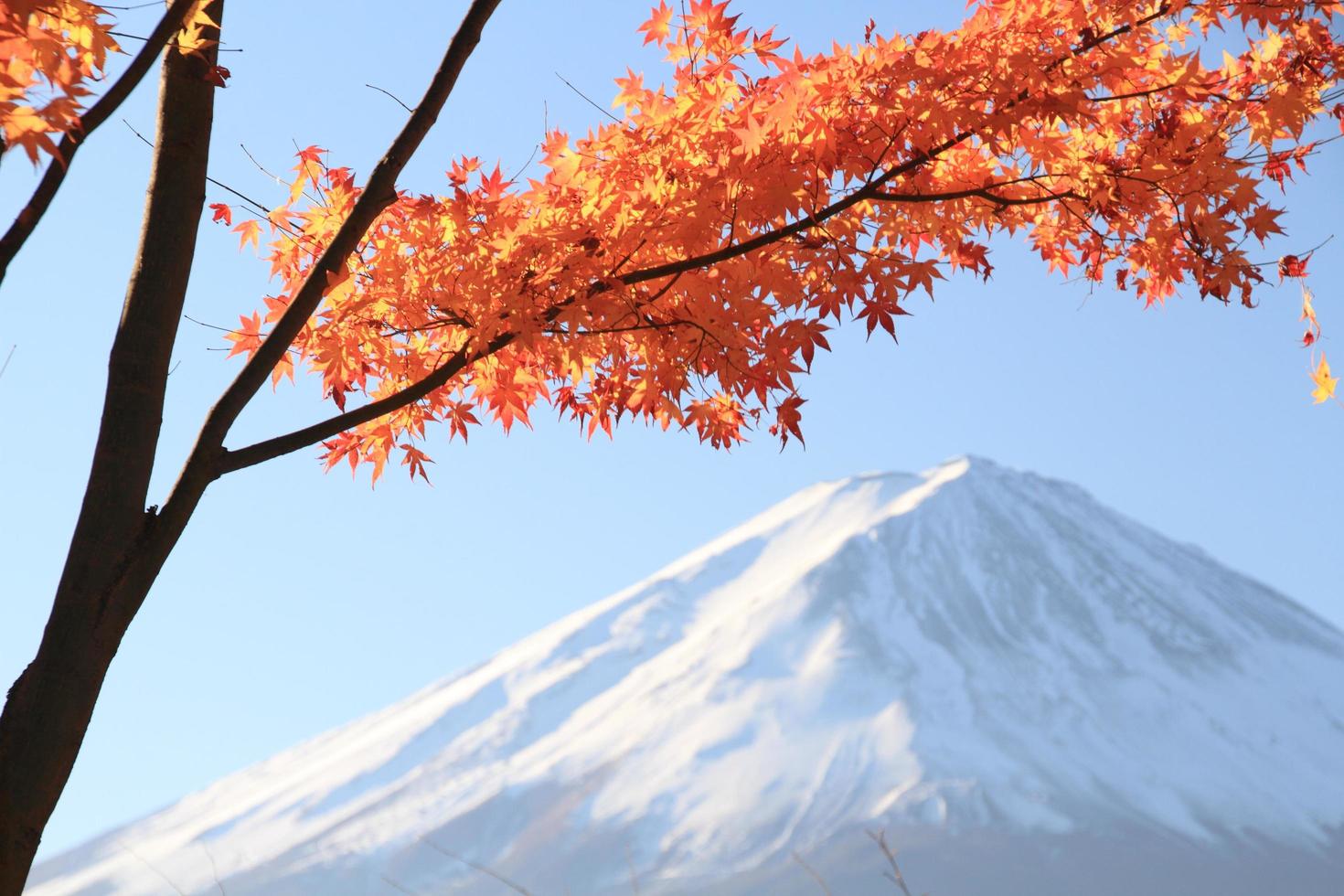 herfstbladeren en mount fuji japan foto