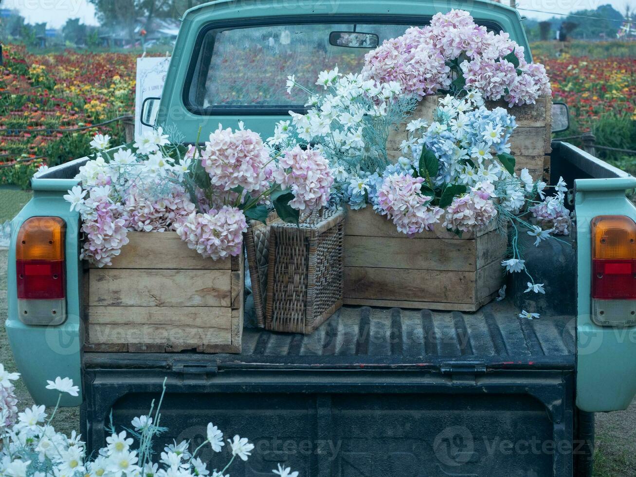 bloem fabriek blad bloesem plantkunde boeket Afdeling mooi mooi plukken omhoog auto auto- kunst abstract vrouw vrouw dag dame flora elegant vrolijk Kerstmis Kerstmis winter seizoen tuin voorjaar zomer wijnoogst foto