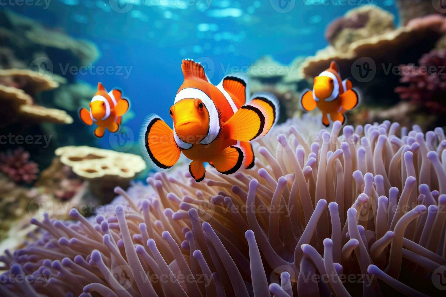 amphiprion Ocellaris clown vis en anemoon in zee. generatief ai foto