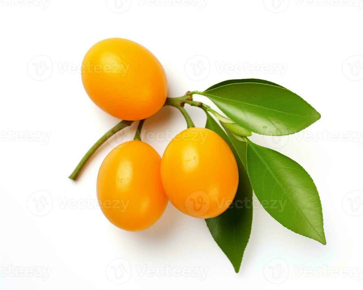 foto van Kumquat geïsoleerd Aan wit achtergrond. generatief ai