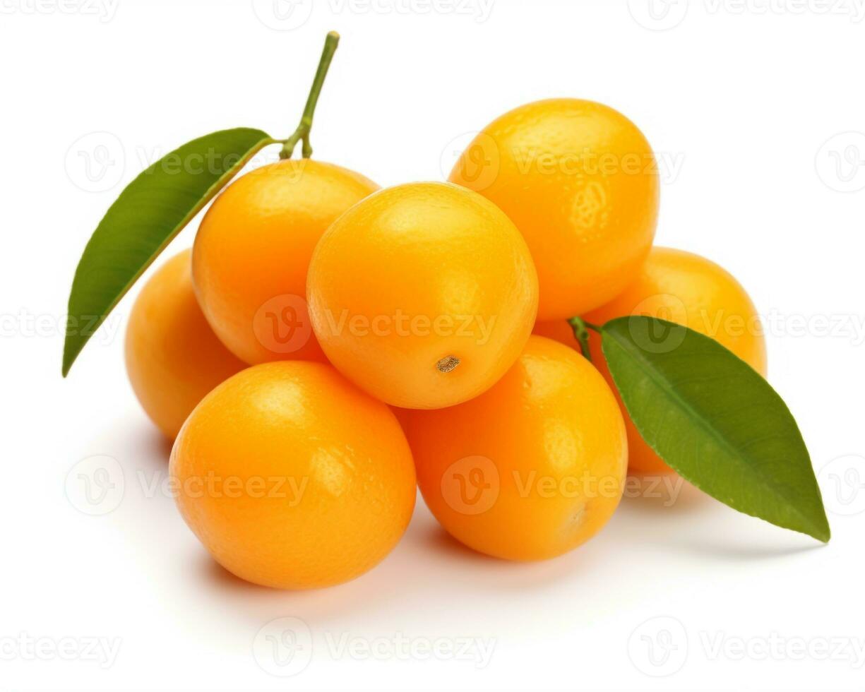 foto van Kumquat geïsoleerd Aan wit achtergrond. generatief ai