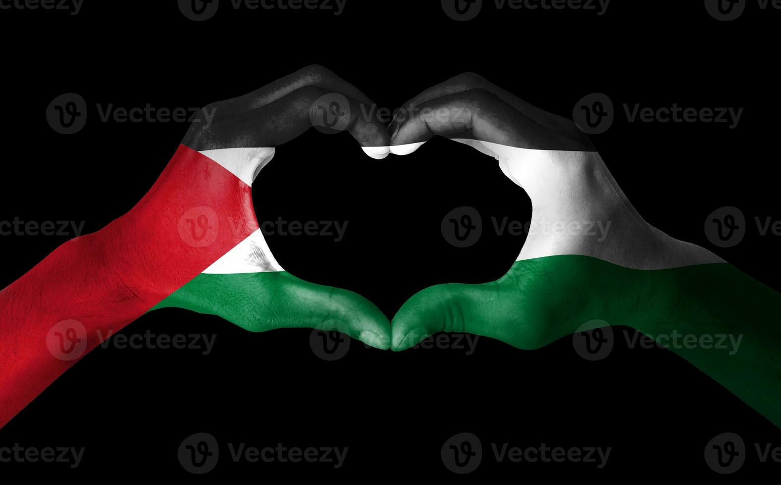 hand- geschilderd net zo de Palestina vlag. wij staan met Palestina banier ontwerp concept. vrij Palestina. Nee oorlog illustratie foto