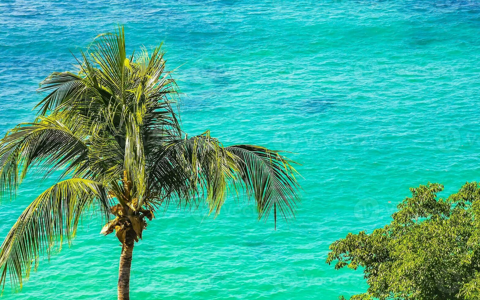 palm boom strand blauw turkoois water golven carrizalillo puerto escondido. foto