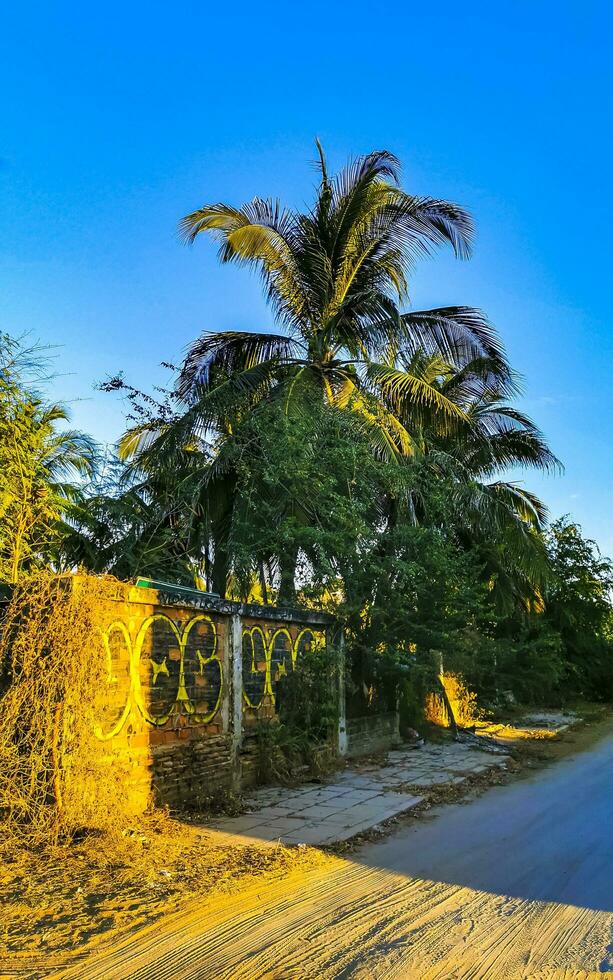 puerto escondido oaxaca Mexico 2023 typisch mooi kleurrijk toerist straat trottoir stad puerto escondido Mexico. foto