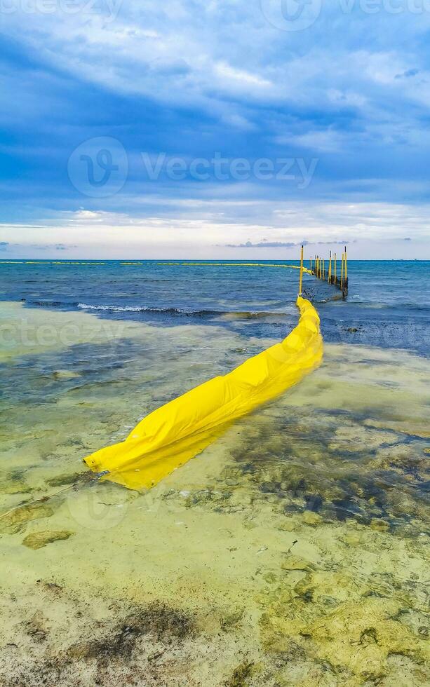 stenen rotsen koralen turkoois groen blauw water Aan strand Mexico. foto