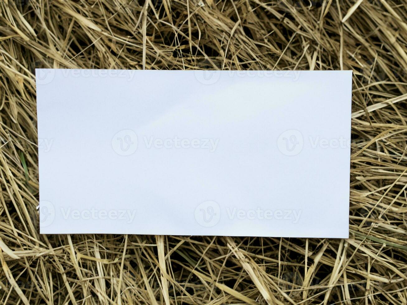 blanco papier Aan de gras foto