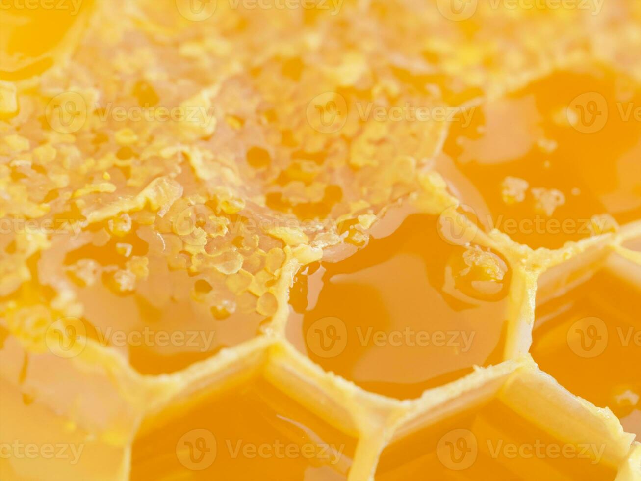 dichtbij omhoog honingraat met honing. foto