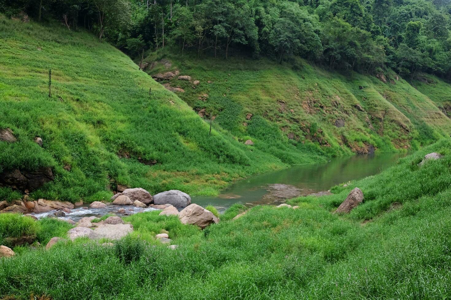 versheid landschap voor water vallen en stroom vloeiende door rotsen in tropisch regen Woud en groen wild oerwoud. khao chong lom Bij nakhonnayok provincie, Thailand foto