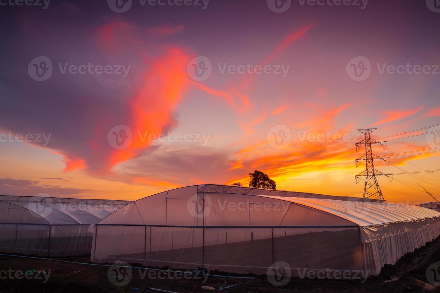 groen huis bij zonsondergang foto