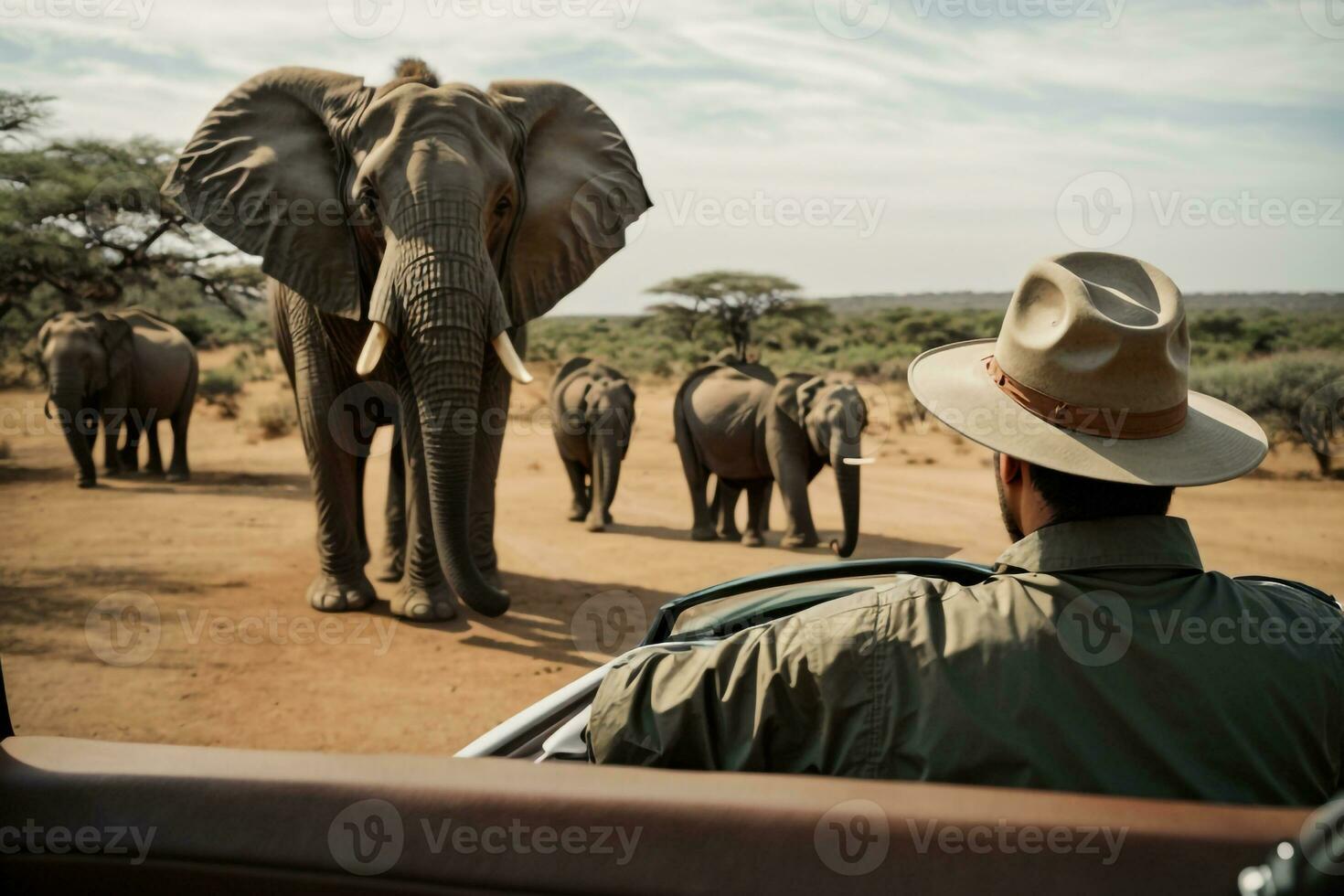 olifant behang, olifant hd ,olifant afbeeldingen downloaden ai gegenereerd foto