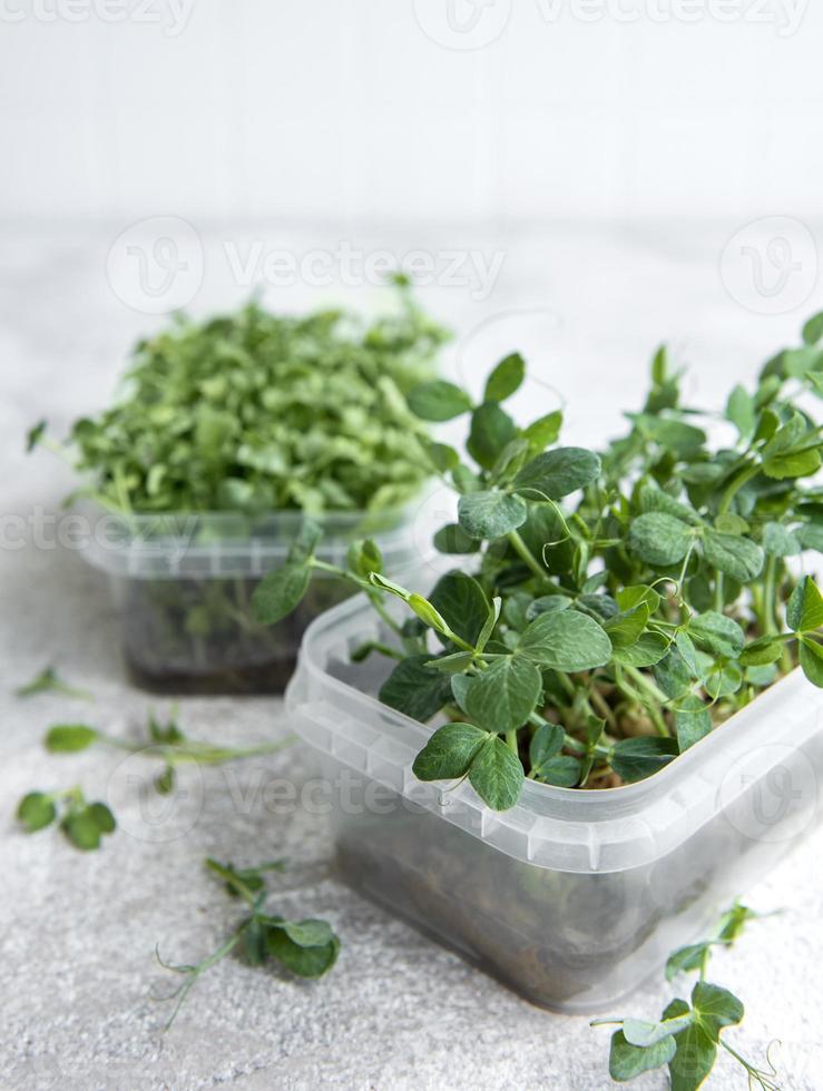 assortiment microgroenten op houten tafel foto